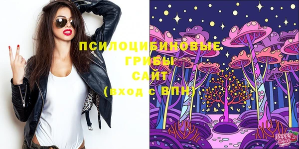 эйфоретик Сосновоборск