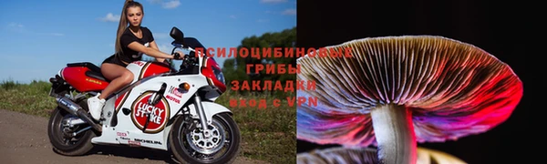 индика Сосновый Бор