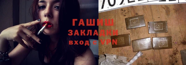 индика Сосновый Бор