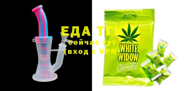 индика Сосновый Бор