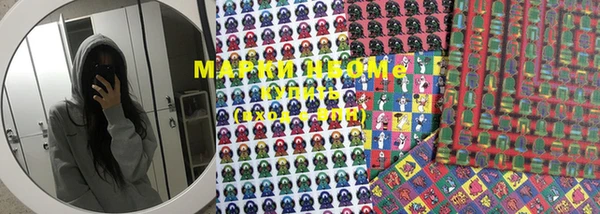 индика Сосновый Бор