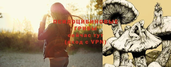 индика Сосновый Бор