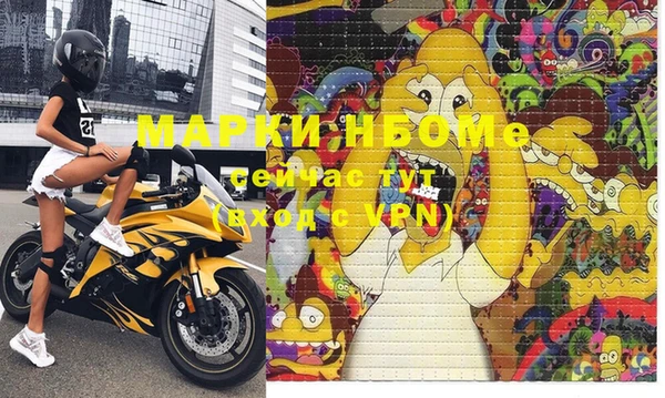 индика Сосновый Бор